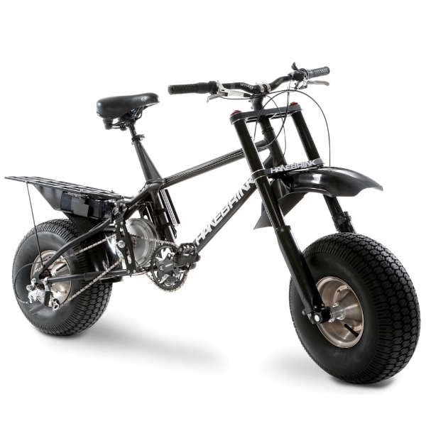 fat wheel electric bike