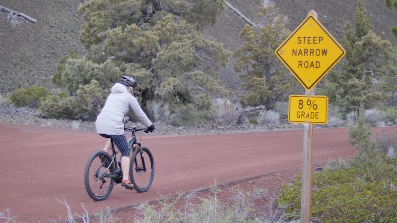 focus jarifa electric bike downhill