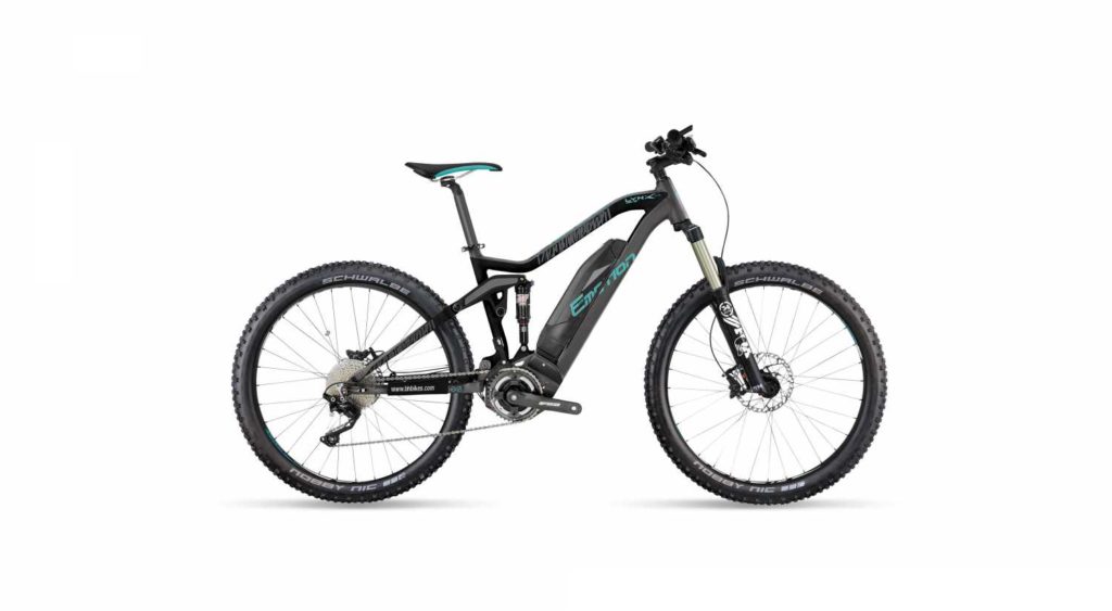 Easy Motion Rebel Lynx electric bike