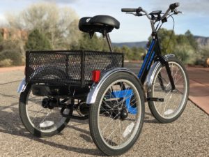 Raleigh tristar trike sale