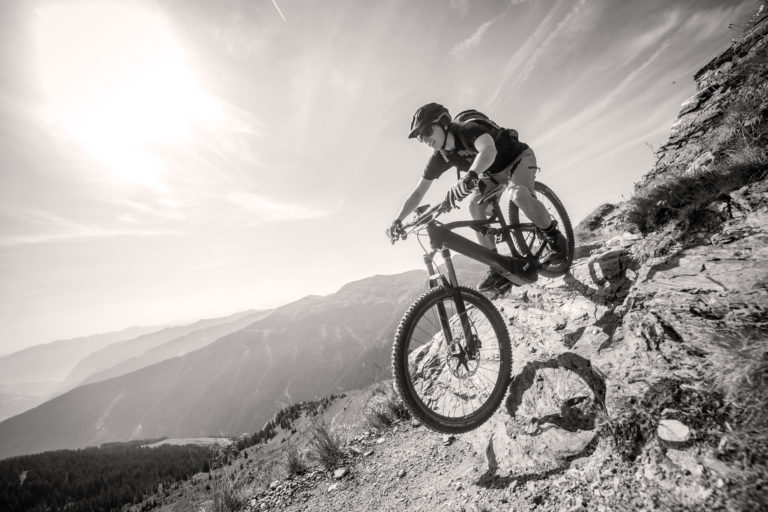 brose e bike service tool