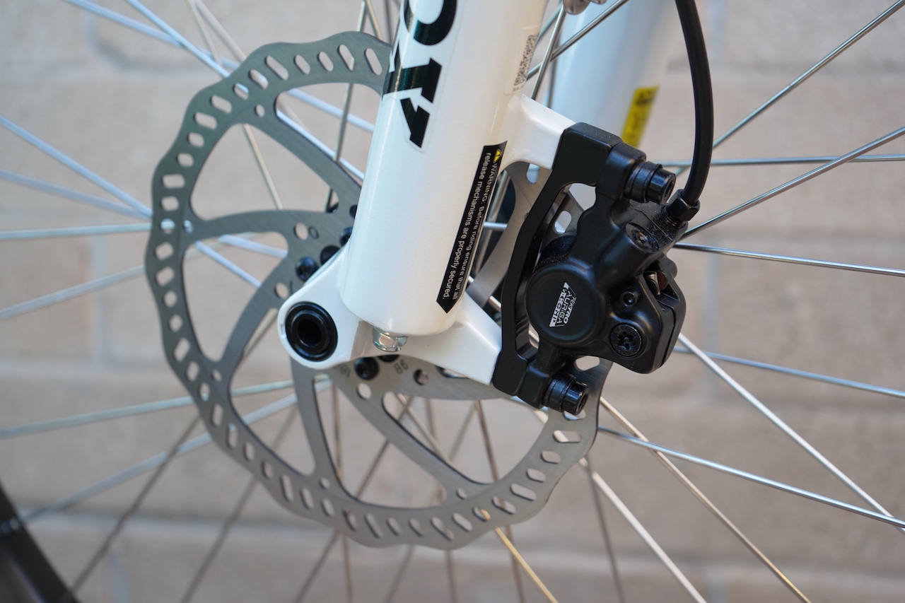 evelo aurora limited review