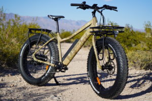 electric bike kenda