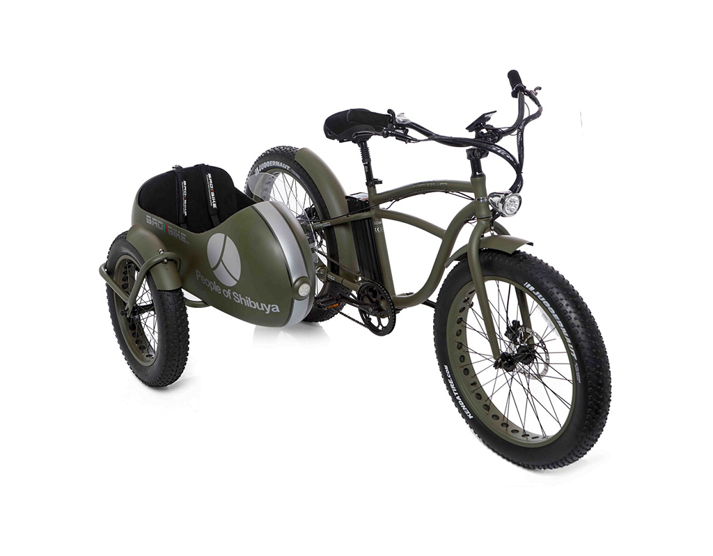 Bad on sale bike sidecar