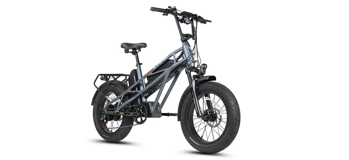 Raleigh fat cheap tire electric bike