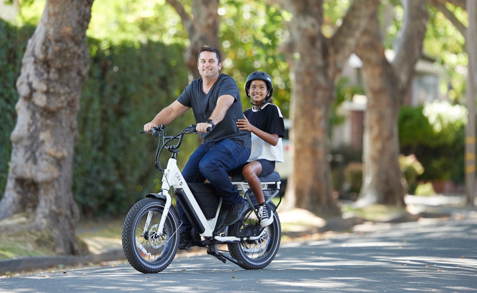 zehus all in one electric bike kit