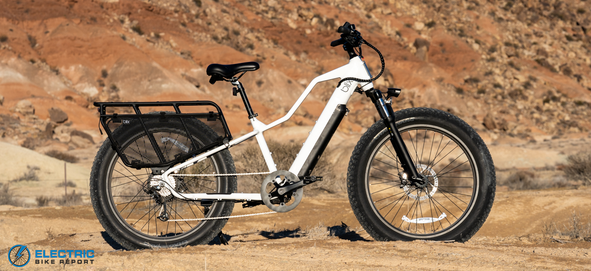 Ultra fat online bike