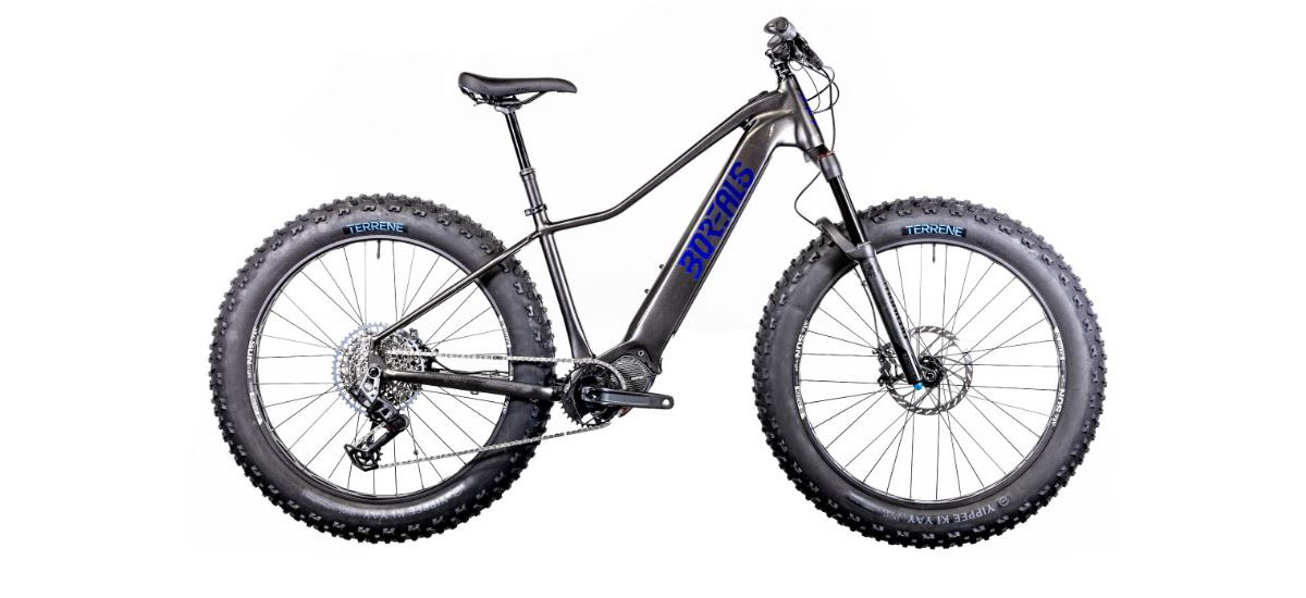 Electric fat bike store europe