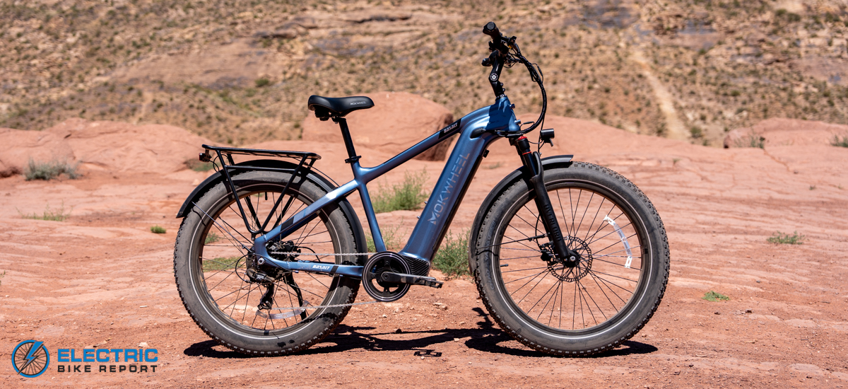 Electric bike for store obese