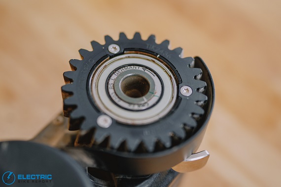 Bitmotal Elevate gear