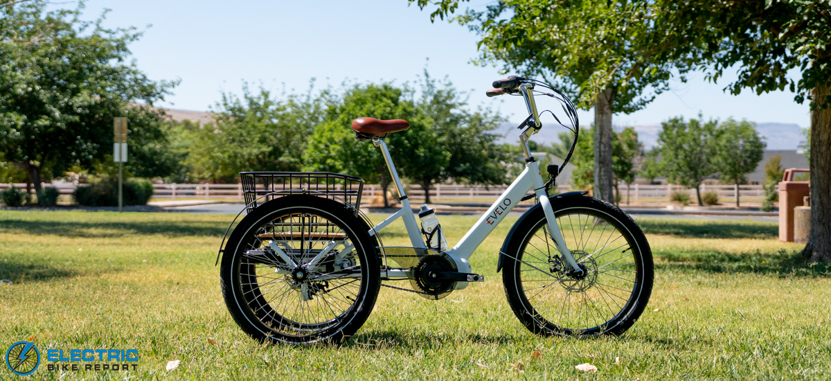 Evelo Compass Review
