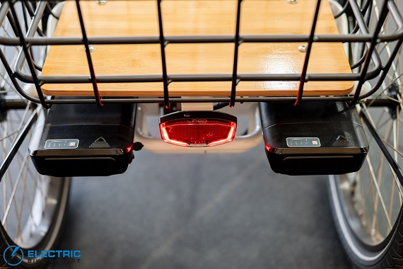 Evelo Compass taillight