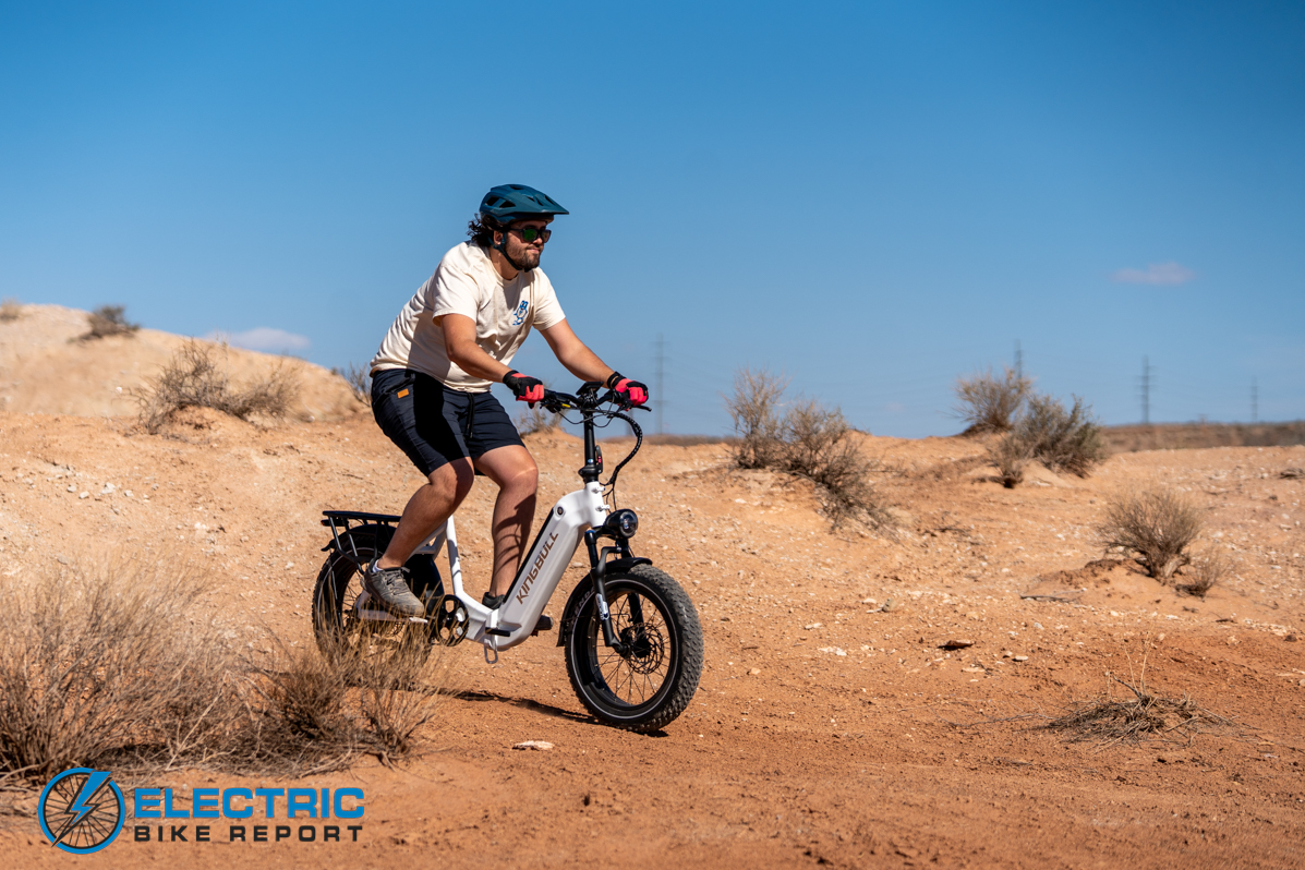 KingBull Verve action-1