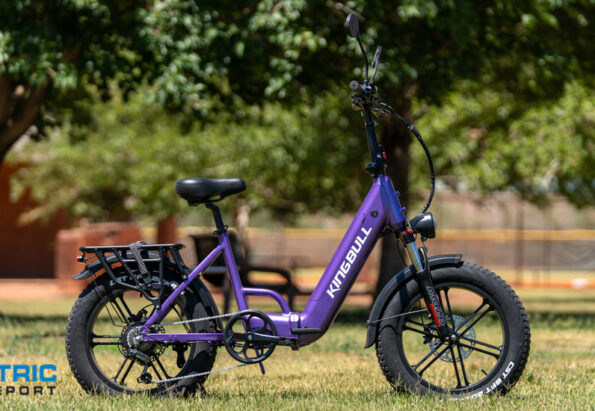 Purple electric bike with a black saddle and rear rack parked on grass in a park; Electric Bike Report watermark in corner.