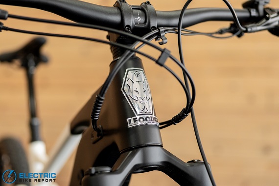Leoguar Trailblazer headtube