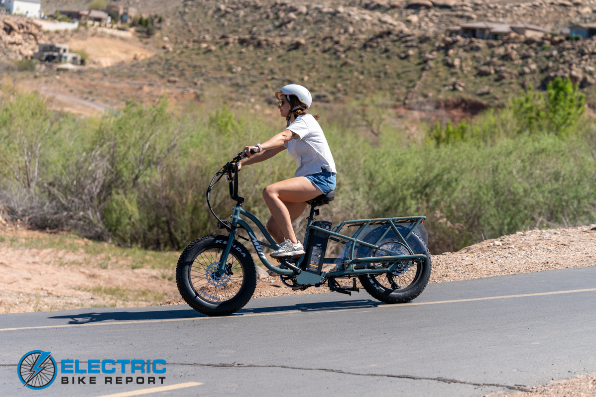 Murg Higgs Cargo action-2