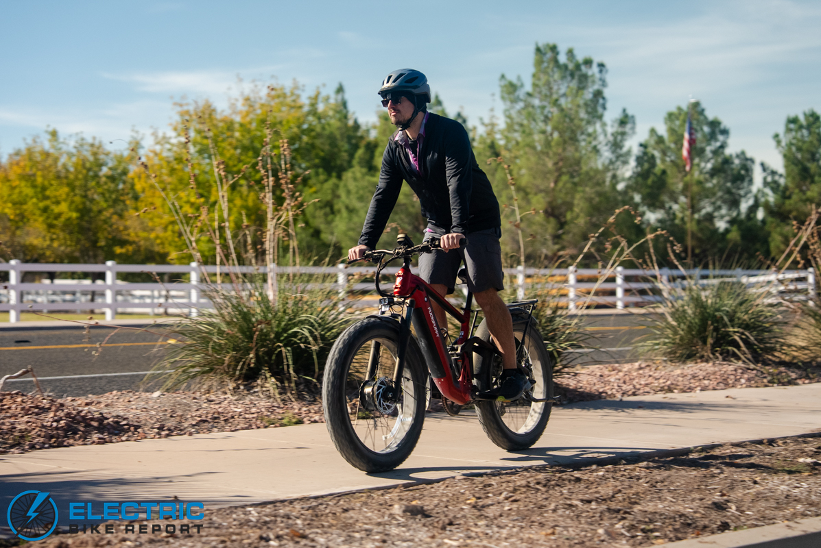 Puckipuppy Golden R action-3