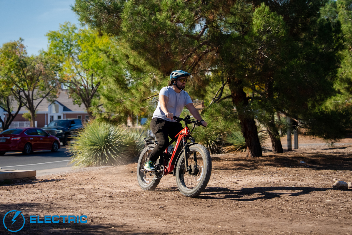 Puckipuppy Golden R action-2