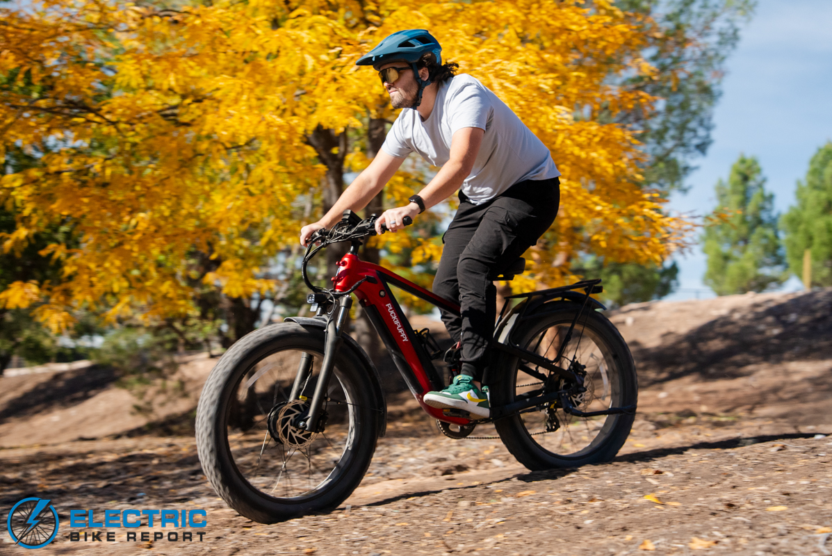 Puckipuppy Golden R action-1