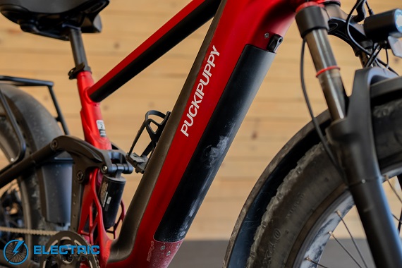 Puckipuppy Golden R battery