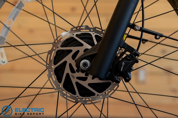 Puckipuppy Golden R brake