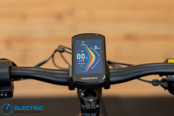 Puckipuppy Golden R display