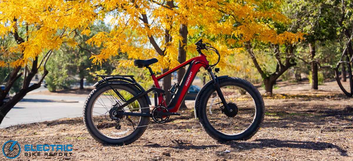 Puckipuppy GoldenR Pro Review