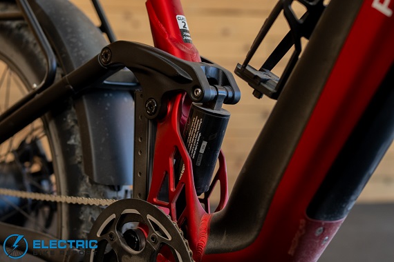 Puckipuppy Golden R shock