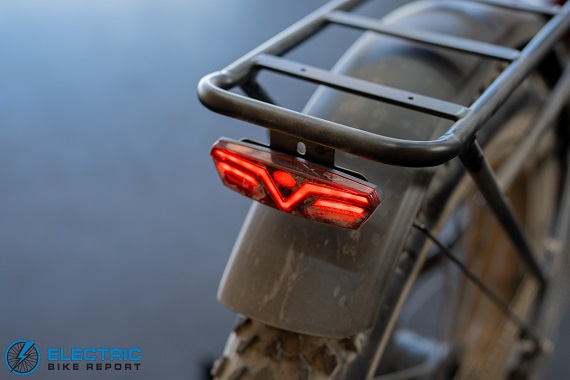 Puckipuppy Golden R taillight