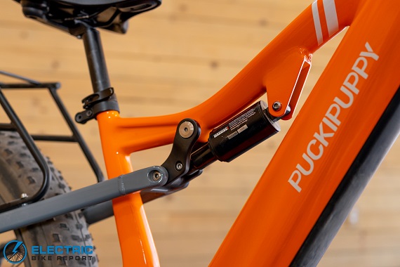 Puckipuppy Labrador Pro shock