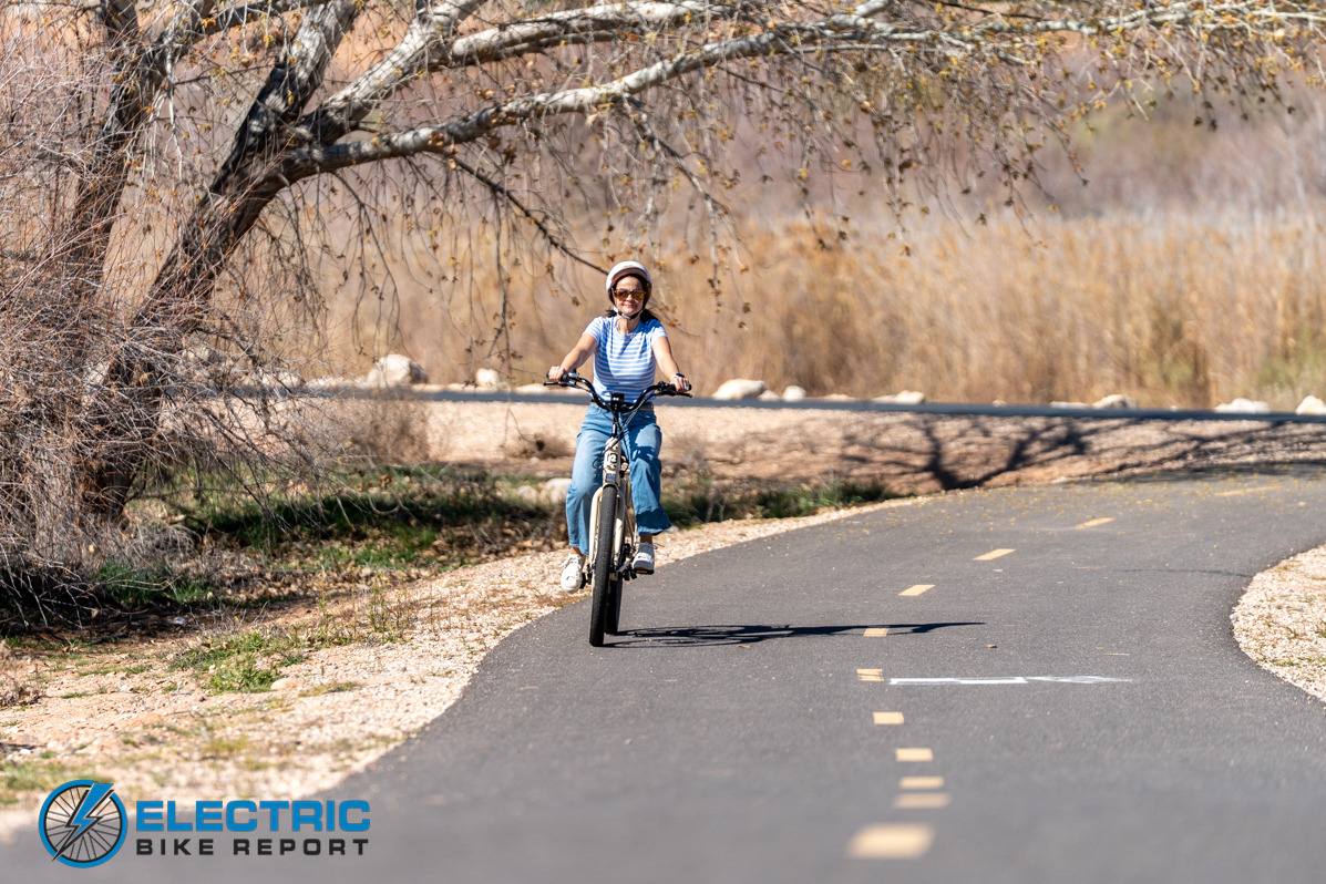 Retrospec Beaumont Rev+ ST action-2