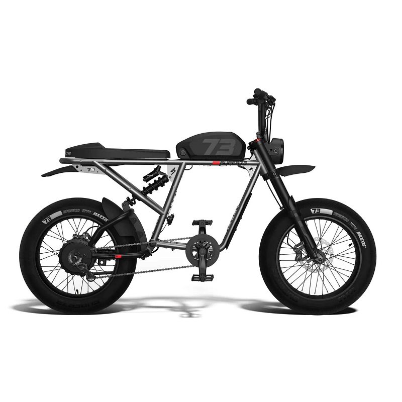 Moped-Style E-bikes vs. Electric Dirt Bikes