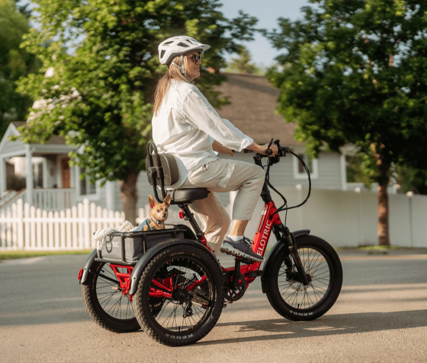 velotric triker